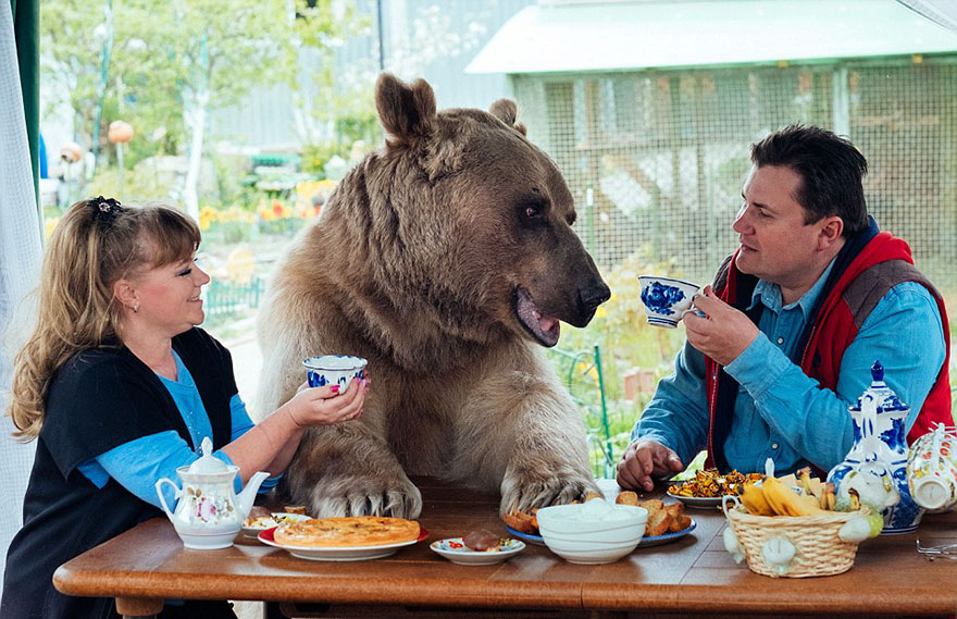 /images/oligarch/adopted-bear-russian-family-stepan-a20.jpeg